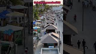 TAMANDARÉ BEACH PERNAMBUCO BRAZIL [upl. by Aicala861]