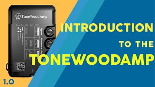 Introduction to the ToneWoodAmp [upl. by Ru746]