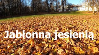 Jabłonna jesienią [upl. by Malorie]