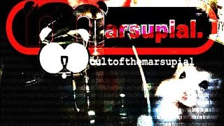 VGM quotMarsupial Warcryquot  Planescape Torment  Spiffy and the Need for Speed Underground  COTM [upl. by Dahlia]