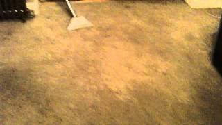 PART 1 A Cream Lounge Carpet Before Steam Cleaning [upl. by Santini]