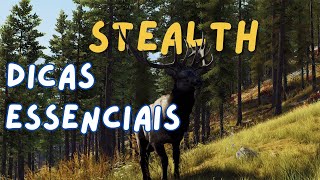 COMO FUNCIONA O STEALTH NO WAY OF THE HUNTER  VOCÊ DOMINA FÁCIL  PARTE 01 [upl. by Trimble]