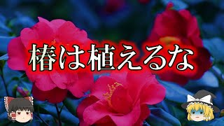 椿を庭に植えない方がよい理由【ゆっくり解説】 [upl. by Suoicserp]