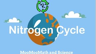 Describe Nitrogen CycleNitrogen cycle in simple terms [upl. by Picker]