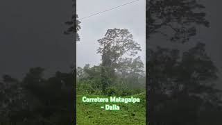 Carretera Matagalpa  Dalia  music song fantasy [upl. by Aseram294]