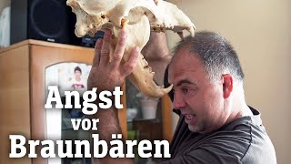 Braunbären in Osteuropa Geschützt geliebt gehasst SPIEGEL TV für ARTE Re [upl. by Doralin]