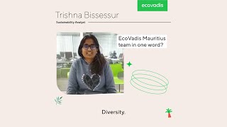 What is the EcoVadis Mauritius team like [upl. by Kennard]