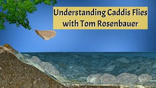 Understanding Caddisflies with Tom Rosenbauer [upl. by Surazal]