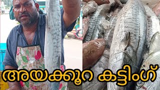 അയക്കൂറ കട്ടിംഗ്ayakoora cutting fishing kerala kasaragod paduppu chala [upl. by Arehahs]