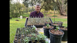 Getting ready to plant the Fall garden plus a scare from a snake [upl. by Rocker]