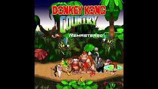 Forest Frenzy From quotDonkey Kong Countryquot [upl. by Fogel]