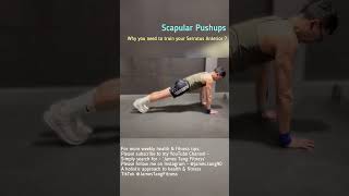 Scapular Pushups scapularstability pushups shoulderpain shoulderstability shoulderhealth [upl. by Julianne]