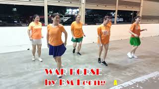 War Horse line dance 战马 [upl. by Huldah]