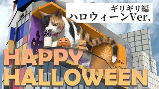 新宿東口の猫『ギリギリ編ハロウィーンVer』 [upl. by Colombi]