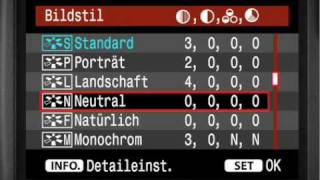 Canon EOS 40D Bildeinstellung Tutorial in deutsch 34 [upl. by Latnahc983]