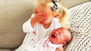 Legendary Moments When Kids Meet Newborn Babies  Funny Baby Siblings [upl. by Lovett148]