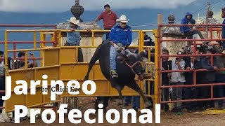 JARIPEO PROFECIONAL EN SAN CRISTOBAL LACHIRIOAG 2022 [upl. by Hsac]