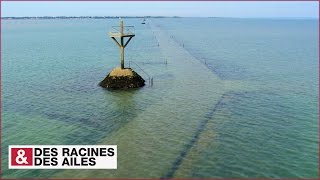 Le passage du Gois [upl. by Simara]