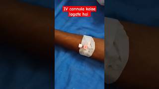 IV Cannula Kaise Lagate Hai ll How to insert IV Cannula hospital shorts viralvideo pharmacist [upl. by Vetter]