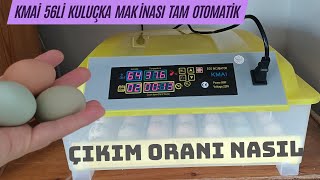 100 VERİMLİLİK İÇİN DİKKAT ETMEMİZ GEREKENLER  KMAI 56lı Tam Otomatik Kuluçka Makinesi [upl. by Thorma]