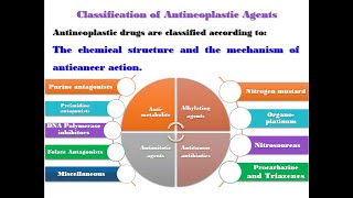 Pharmacy Medicinal Chemistry Anticancer agents Alkylating agents Nitrogen mustard Part 1 [upl. by Darice]