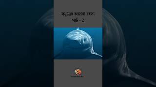 সমুদ্রের অজানা রহস্য Part  2 psychology thepsychologyhubbangla অজানাতথ্য [upl. by Alvy683]