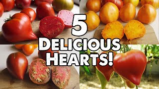 5 DELICIOUS HEARTSHAPED TOMATOES [upl. by Romona]