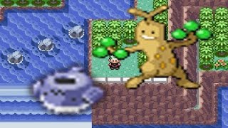 How to find Wailmer Pail and Sudowoodo in Pokemon Emerald [upl. by Anillehs]