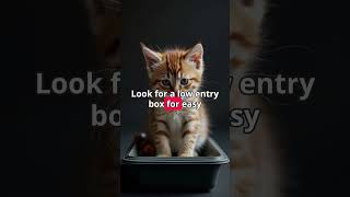 Best Litter Box for Kitten Potty Training What You Need 🐾 KittenCare PottyTraining LitterBoxTips [upl. by Romeyn]