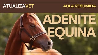 Adenite Equina  AtualizaVet [upl. by Cyn811]