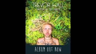 Trevor Hall  The Promised Land With Lyrics [upl. by Emelda]