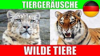 WILDE TIERE für Kleinkinder  Tierstimmen für Kinder Kindergarten Baby auf Deutsch  Lernvideo [upl. by Danyelle]