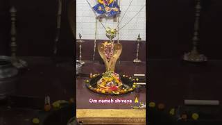 Om namah shivaya 🙏pooja dailyprayer karthikamasam [upl. by Nylsaj]