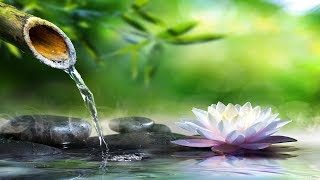 Relaxing Music with Soothing Water Sound [upl. by Townie]