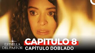 Estrella Del Pastor Capítulo 8 Doblado en Español [upl. by Eidnim676]