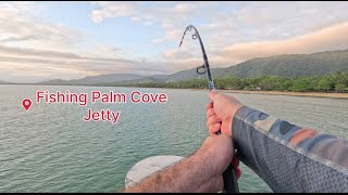 Land Based Fishing Palm Cove Jetty [upl. by Hayila]