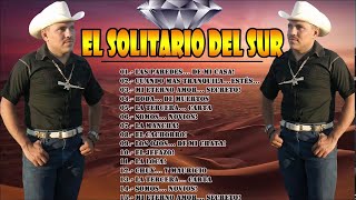 El Solitario del Sur  Puros Corridos Mix 2021 [upl. by Zohara]