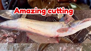 Super fast big Boal fish cutting  Joy Fish cutting skill  Joy cutting point [upl. by Ecila]