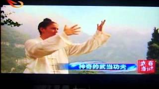 Yuan Li Mins disciple Lucia RingWatkins interviewed on Wudang Kung Fu 袁理敏弟子袁微容的武当功夫采访 [upl. by Nniw]