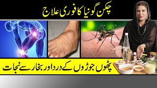 chikungunya Natural Home Remedies  چکن گونیا کا علاج  Fever amp Joint Pain  Dr Bilquis Shaikh [upl. by Loferski]