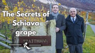 Unveiling The Secrets Of Schiava grape  Girlan Winery [upl. by Acimehs729]