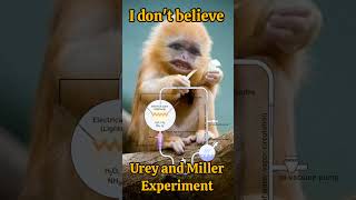 I dont believe in Urey and Miller experiment evolution biology biotechnolgy research neet2025 [upl. by Jacoba]