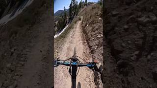 SUNDANCE TRAIL Snow Valley bike park Running SpringsCa Fast Flowy Berms ​⁠RIDEON909 [upl. by Kikelia492]