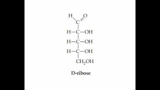 Number of Chiral centers and Stereoisomers Derieved from Dribose [upl. by Noved]