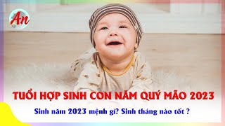 Sinh Con Năm Quý Mão 2023 Tháng Nào Tốt  Năm 2023 Mệnh Gì  Tuổi Hợp Tuổi Sinh Con Năm 2023 [upl. by Arodnahs484]