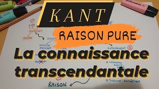 Kant  critique de la raison pure  Le processus de la connaissance transcendantale [upl. by Odlabso286]