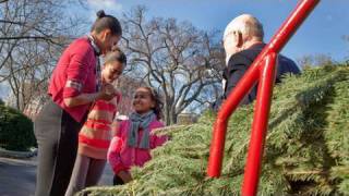 The First Lady Receives the White House Christmas Tree [upl. by Mcnamara834]