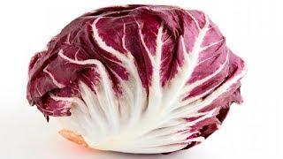 ⟹ Radicchio Rossa Di Verona Dragon  Cichorium intybus  Vegetable Review [upl. by Haikezeh]