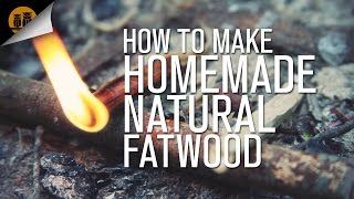 How To Make Homemade Natural Fatwood [upl. by Nylra970]