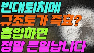 빈대에는 규조토가 좋다 이것모르면 낭패 식용규조토로 빈대를 잡아보자 [upl. by Eppes]